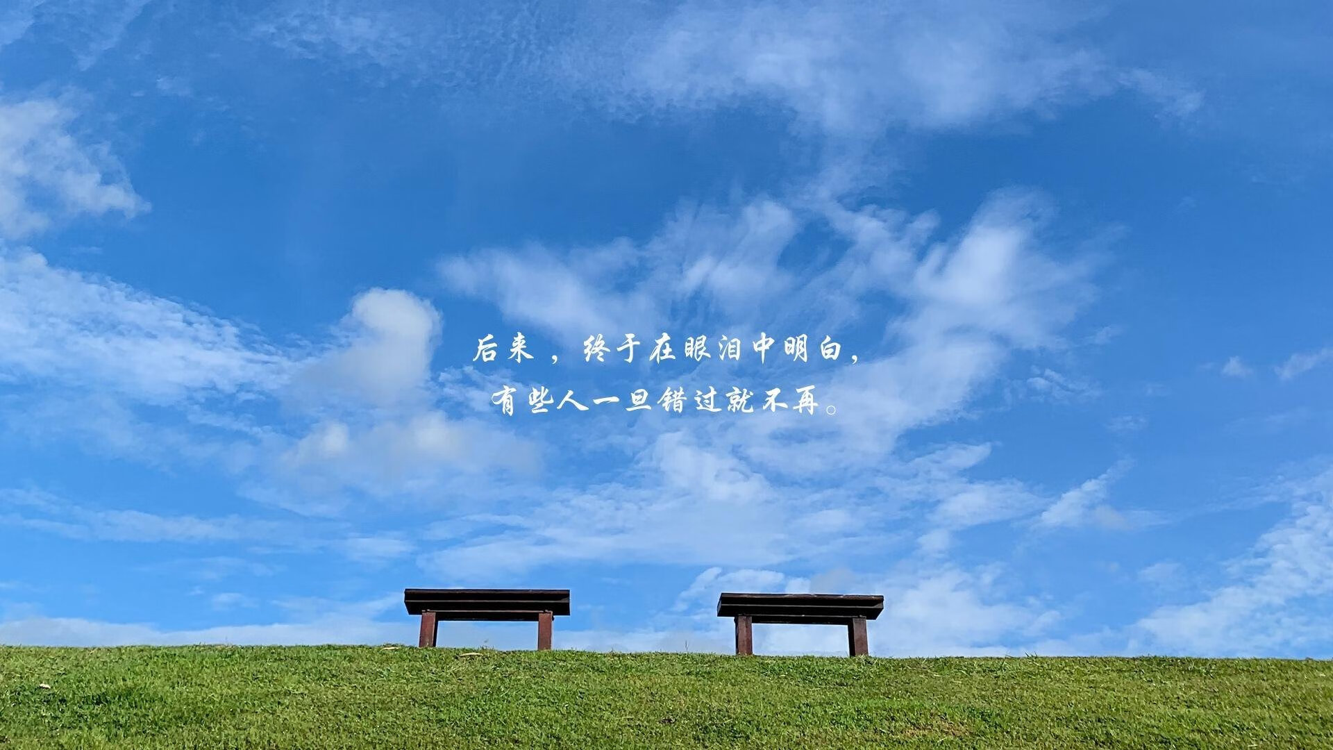 全国青少年“篮球教育联盟”正式成立，推动青训行业规范化，全国青少年篮球训练营