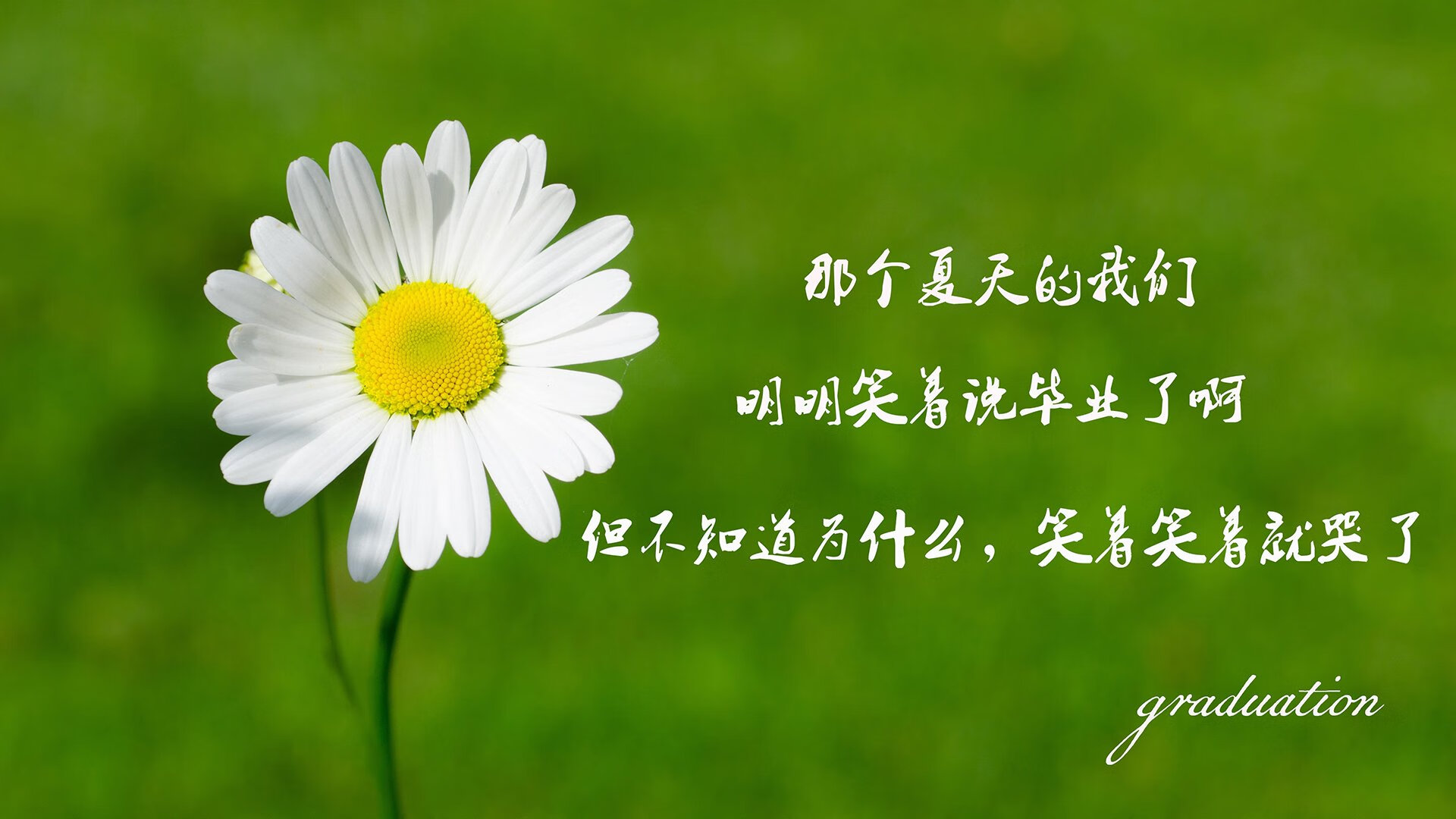 季后赛预热：关注焦点球队最新动态