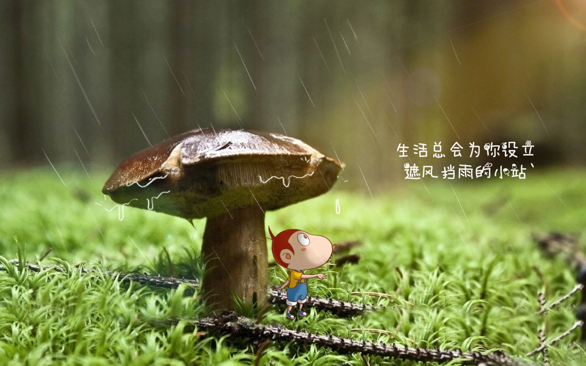 爱游戏体育（AYX）官方APP下载-斯托克城主场大胜，士气高涨，球队再现昔日实力，斯托克城老板是谁