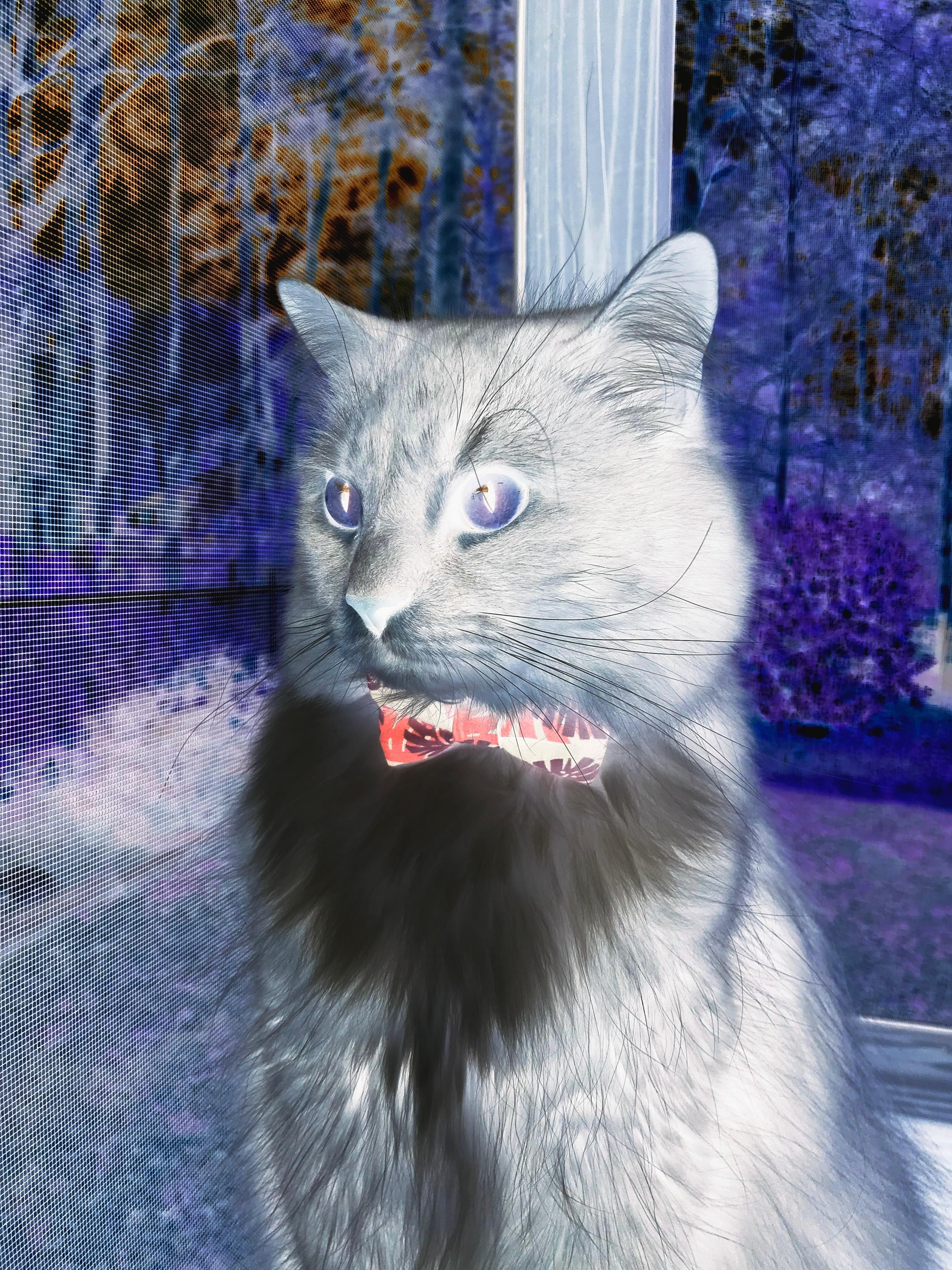 中超联赛中国女足爆冷 球迷鼓励继续努力,中超女足联赛2021