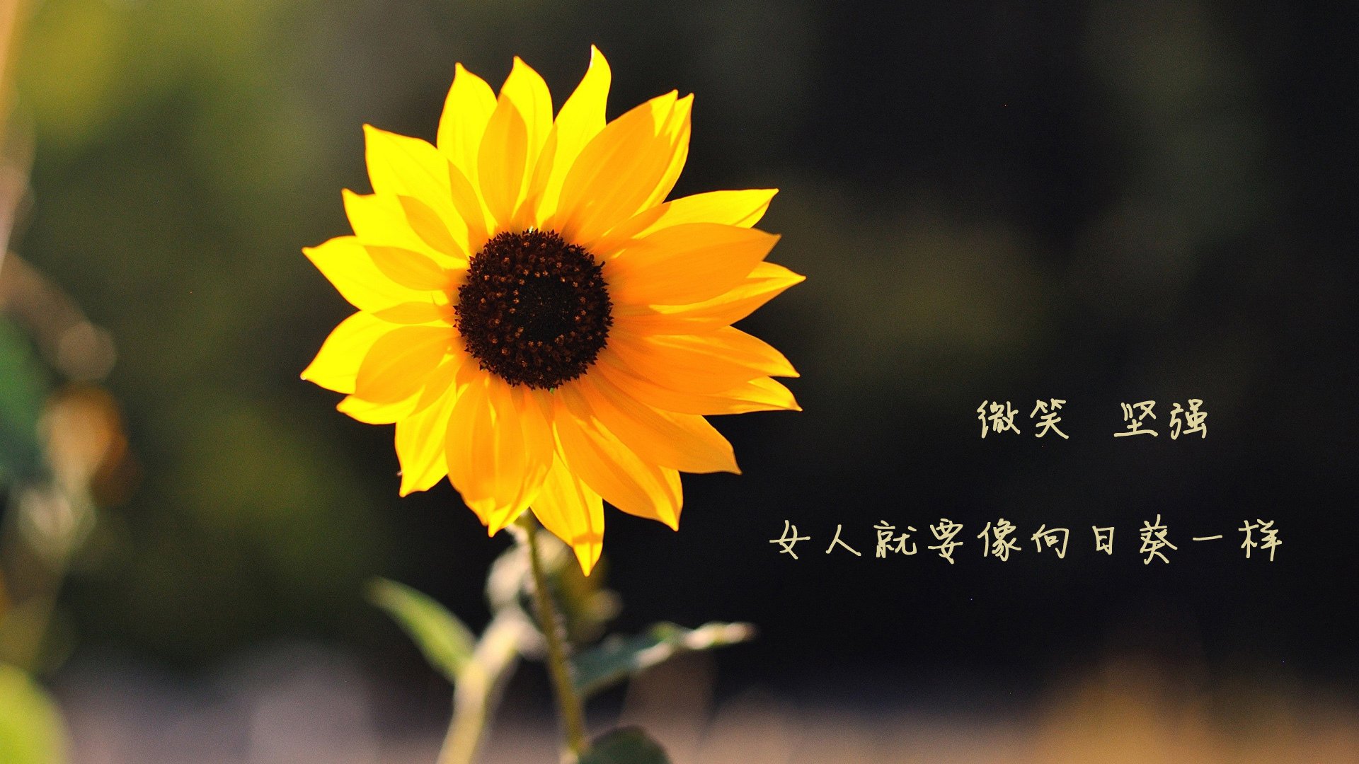 国家队备战计划执行不到位,战备计划通常每年组织修订几次