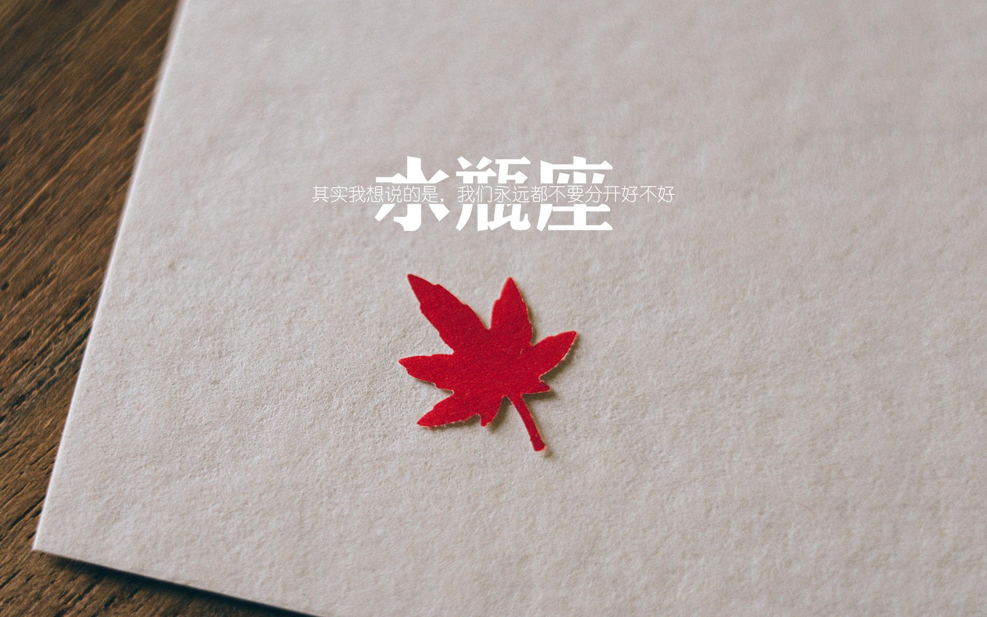 爱游戏中国官方网站平台-青年选手逐渐扛起国家队大旗，青年选手逐渐扛起国家队大旗图片