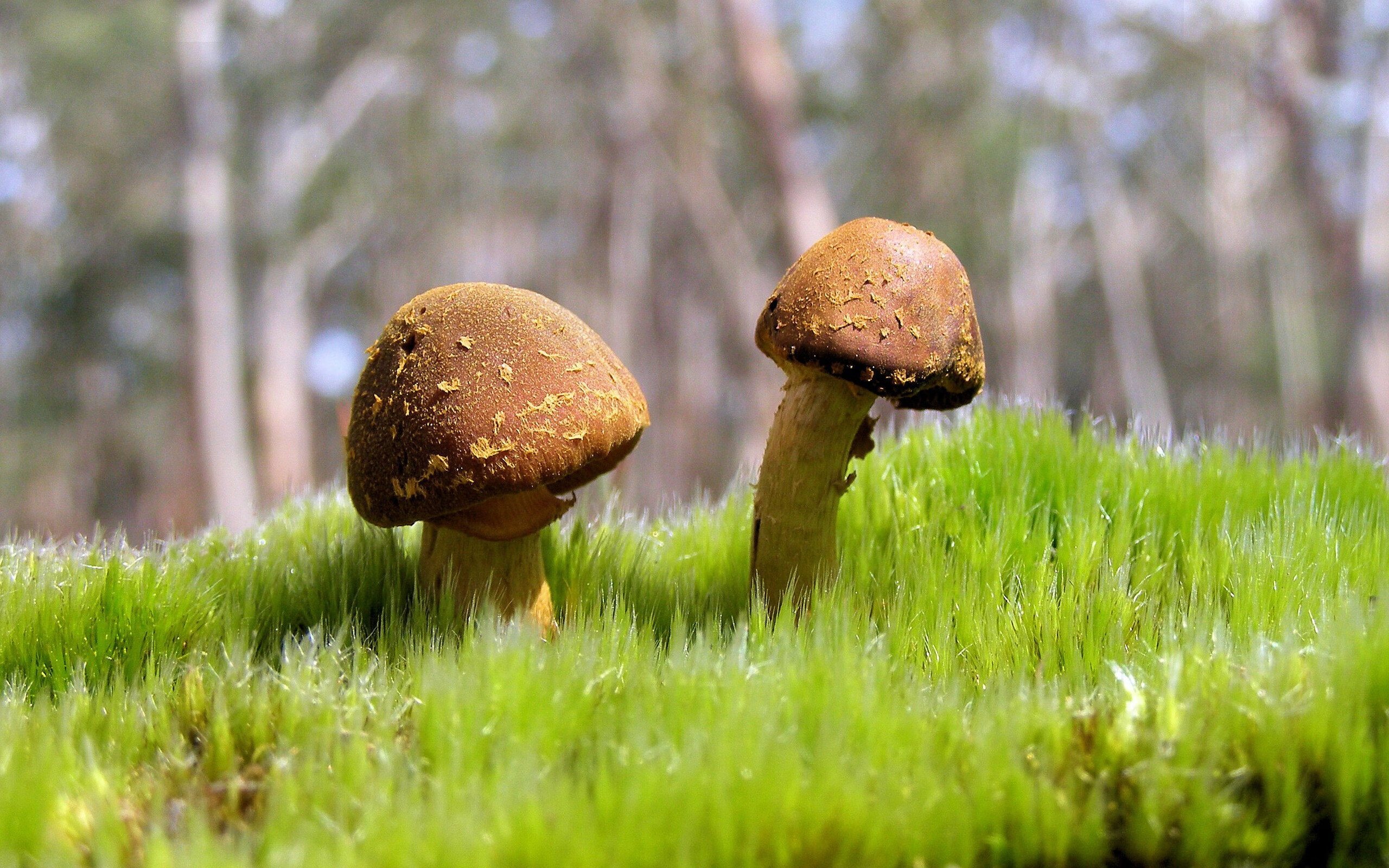 爱游戏官方网站-不惧强手 李冰洁游出自我节奏，不惧强敌敢较量这首歌的名是什么