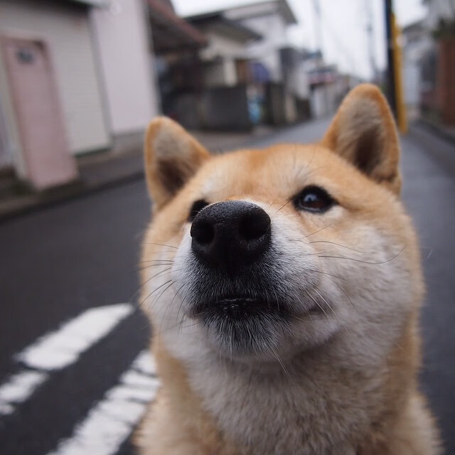 中超球队推动青训快闪体验营激发孩子兴趣启蒙,中超青训梯队