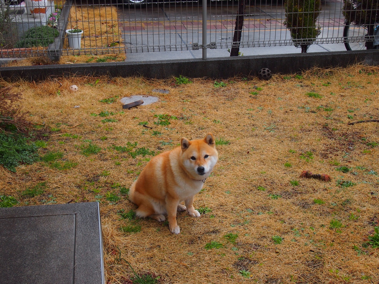 中超俱乐部引入荣誉激励机制激发球员拼搏动力,中超俱乐部怎么盈利