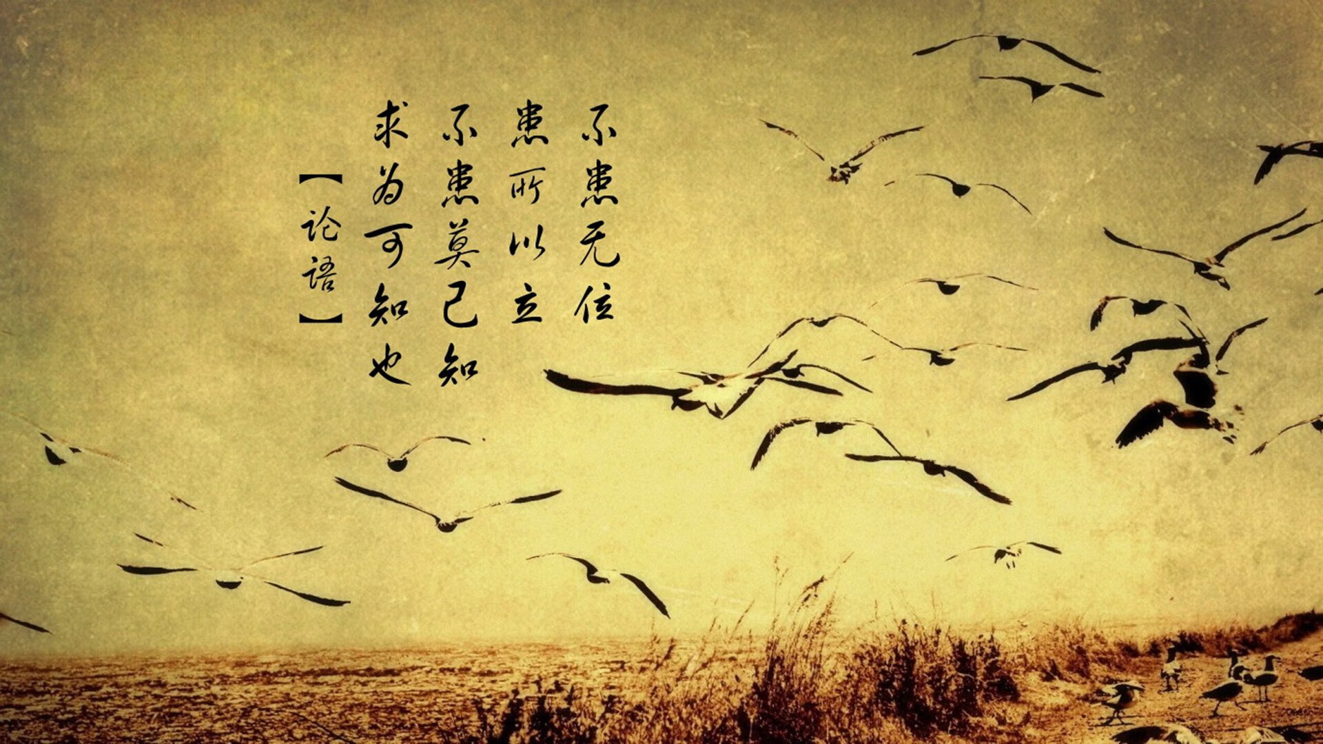 爱游戏官网-乌干达女篮在非洲锦标赛中持续攻坚，为奥运梦想奋勇拼搏，乌干达女子精英联赛