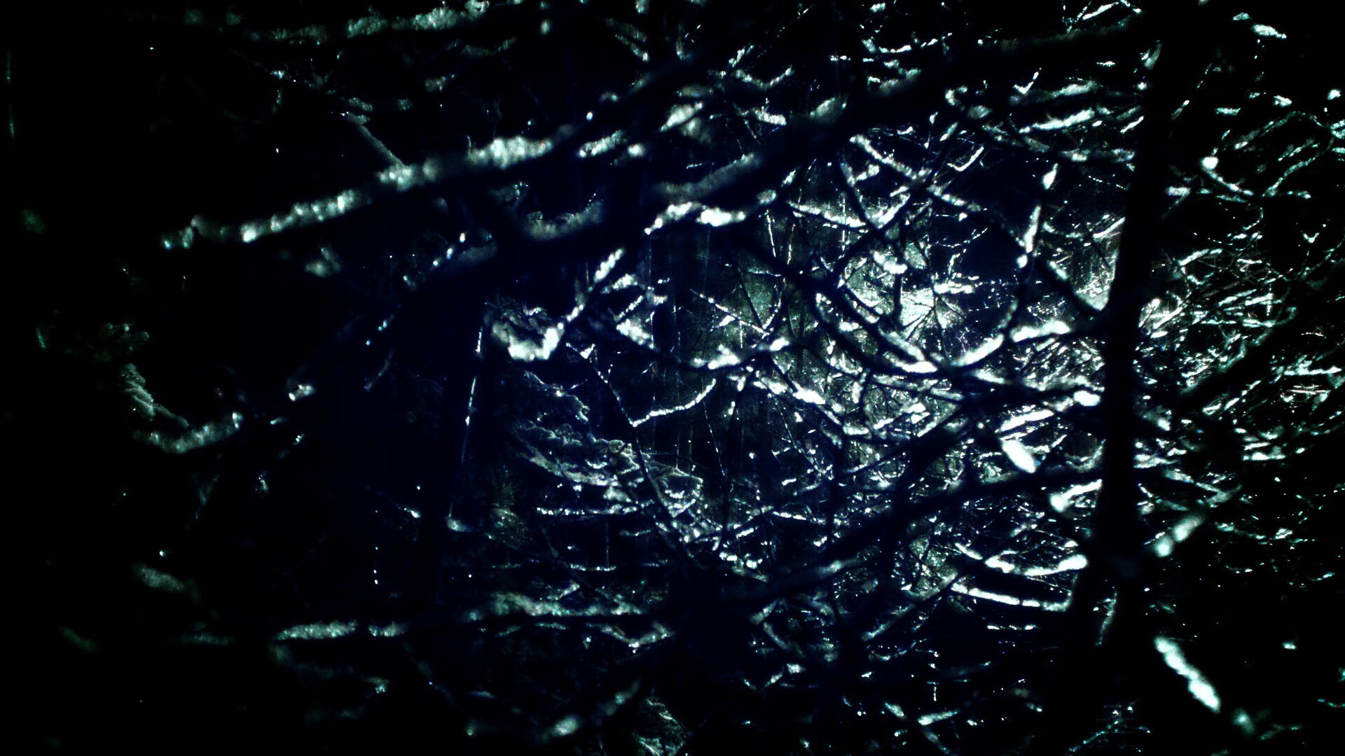 卡特以球场智慧与冷静表现,带领全黑队夺得世界杯,卡特经典比赛全场回放