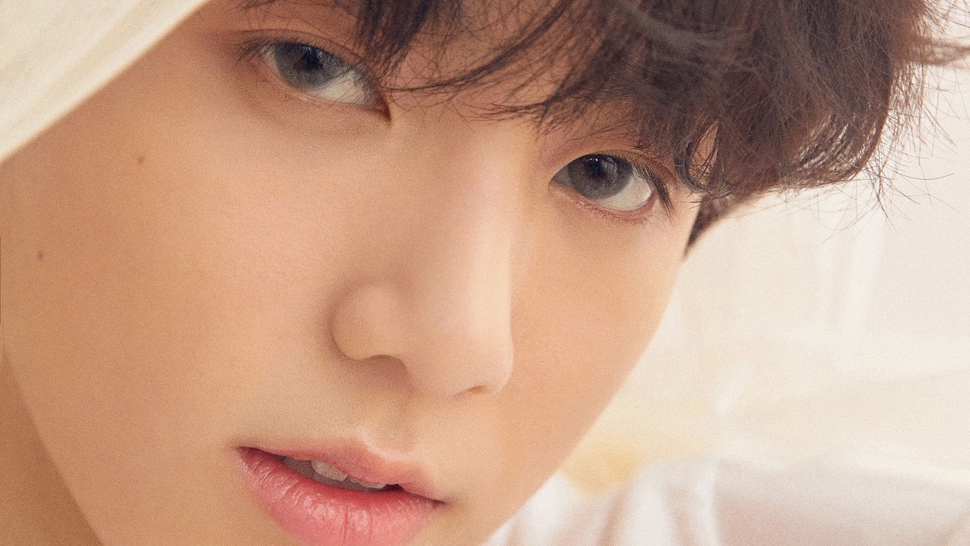 欧洲杯决战现场：精彩瞬间一次次刷新历史，欧洲杯决赛讲解